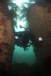 Mark in a gully. Porth Ysgaden.
D200, 10.5mm. by Derek Haslam 